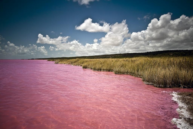 Excursion au lac Rose au Sénégal avec eau rose et dunes